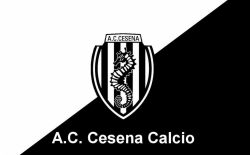 Resto del Carlino – Cesena, nodo ds: contattati due profili