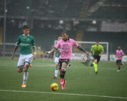 Il Mattino – 18 precedenti, 6 successi dei lupi, ultimo blitz rosanero nel 2022