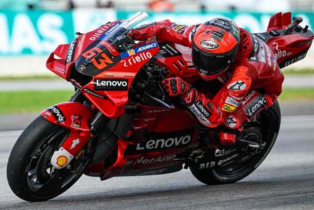 Bagnaia Moto Gp