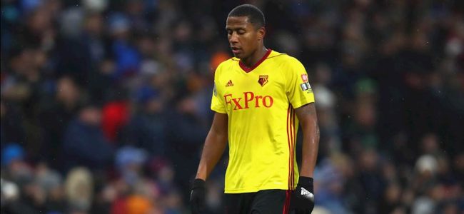 Calciomercato Palermo