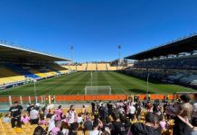 Parma Palermo highlights