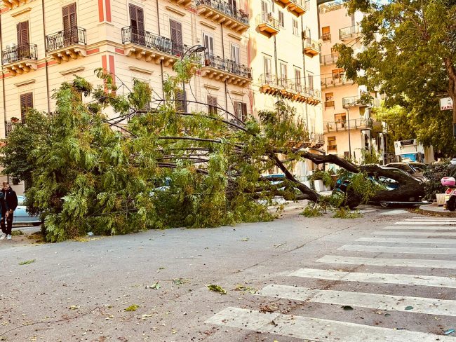 Palermo vento