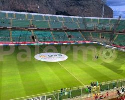 Palermo-Empoli, il Barbera si riempie: il dato sugli spettatori