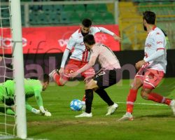 Bari-Palermo, la febbre del venerdì sera: il dato curioso