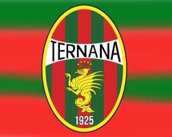 Caos Ternana, liquidazione volontaria e futuro da decifrare