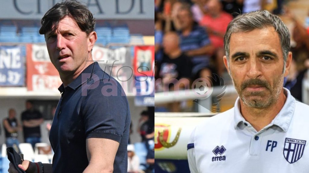 Palermo-Parma, Mignani e il tabù Pecchia: contro di lui solo una vittoria