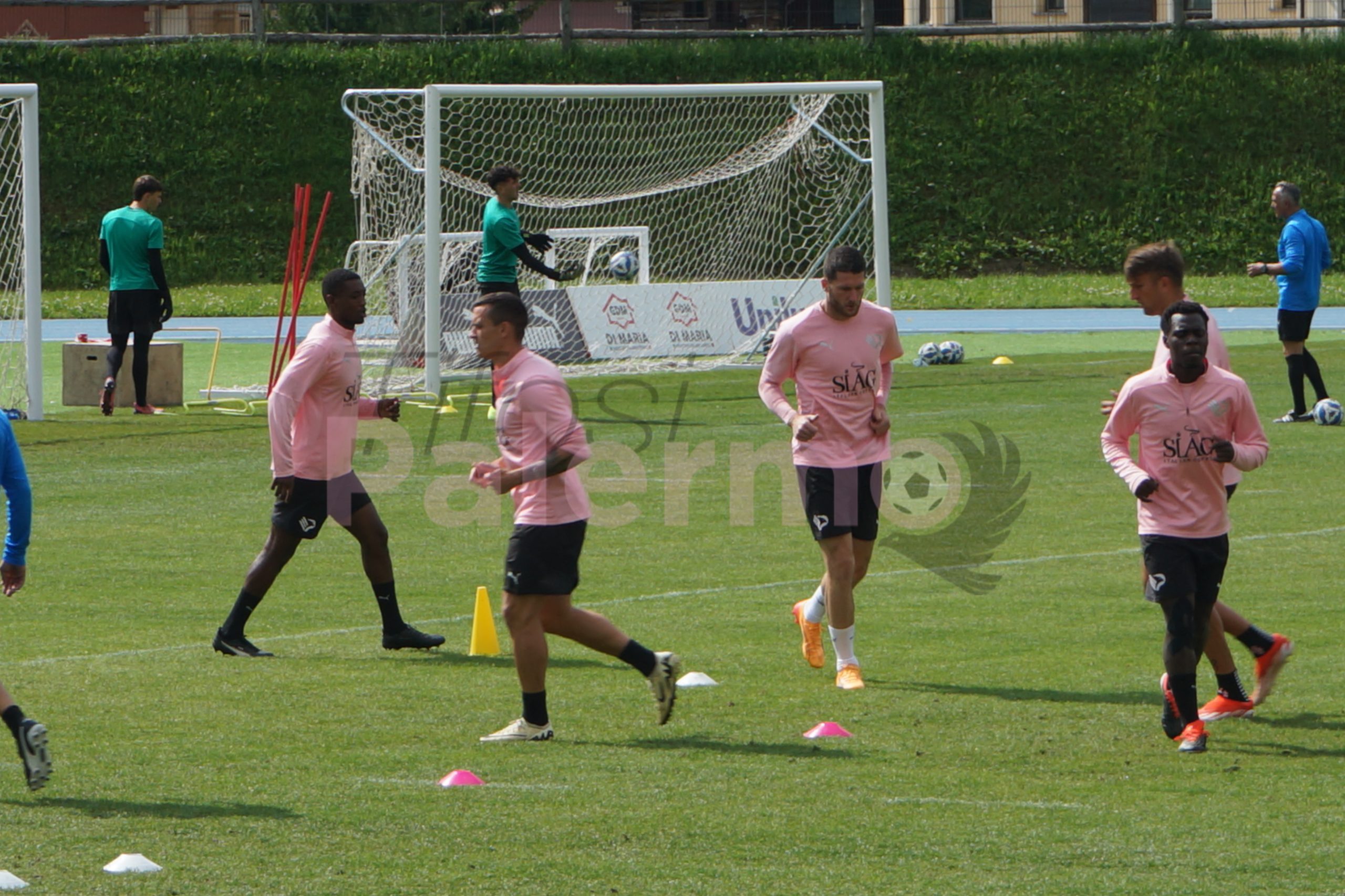 Palermo Henry