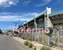 Palermo-Sampdoria, cresce ancora il numero di spettatori Barbera
