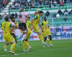 Palermo, l’identikit dell’avversario: il focus sul Mantova