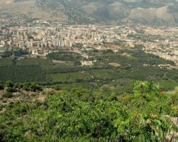 Palermo, ok del Comune per la realizzazione della “Grand Stand Arena”