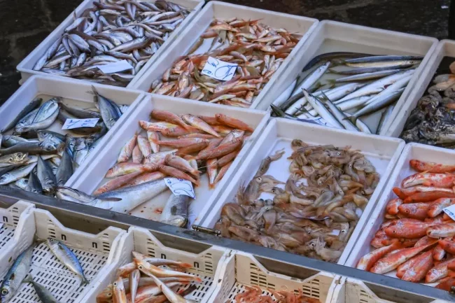 Cefalù sequestrati 809 chili di pescato