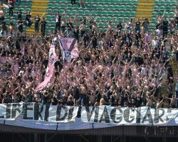 Palermo-Sudtirol, cresce il numero di spettatori: il dato