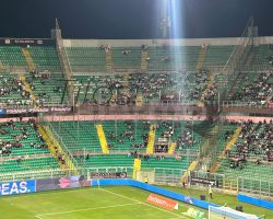 Palermo-Cesena, i precedenti: al Barbera non si vince da 12 anni