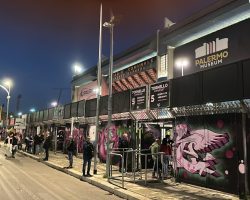 Scontri in tribuna al Barbera, il Palermo chiarisce