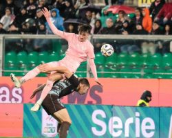 Palermo-Sudtirol, le probabili formazioni: Johnsen verso la prima da titolare