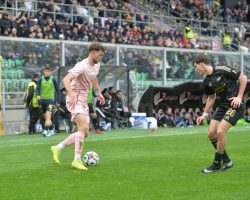 Palermo-Avellino 2-0, le pagelle: Le Douaron scatenato, muro Bani