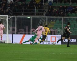 Palermo-Juve Stabia 2-2: Pohjanpalo e Bani illudono i rosa