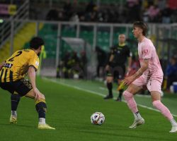 Palermo-Juve Stabia 2-2: Pohjanpalo e Bani illudono i rosa