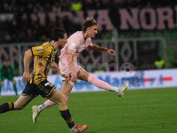 Palermo Catanzaro probabili formazioni