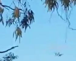 Aerei militari americani sulle Madonie: scoppia il caso