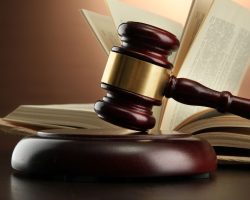 Referendum Giustizia 2026: ecco dove seguire live gli istant poll