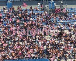 Reggiana-Palermo: al Frosinone danno il rigore, ai rosa no (C. Cangemi)