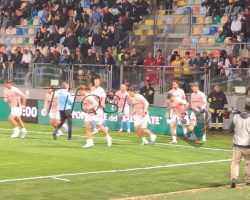 Frosinone-Palermo: 1-1. Emozioni oltre la cronaca (C. Cangemi)