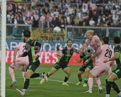 Palermo-Catanzaro 2-0. Eliminazione che sa di fallimento stagionale