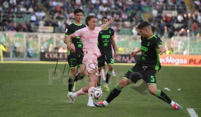 Palermo playoff Palumbo