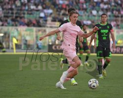 GdS – Palermo, ecco il vero Johnsen