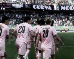 Palermo, diamo i numeri: rimpianti e motivazioni dei rosanero