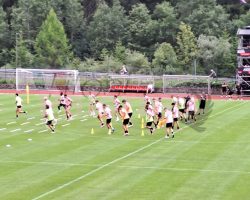 Le probabili formazioni del Palermo ad oggi