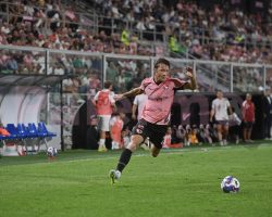 Palermo-Sampdoria, i convocati di Inzaghi: la decisione su Peda