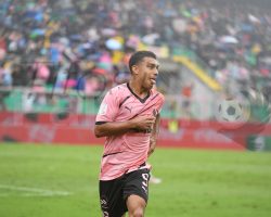 Palermo-Carrarese 2-1, le pagelle: sofferenza e resistenza. Tre punti per dare continuità