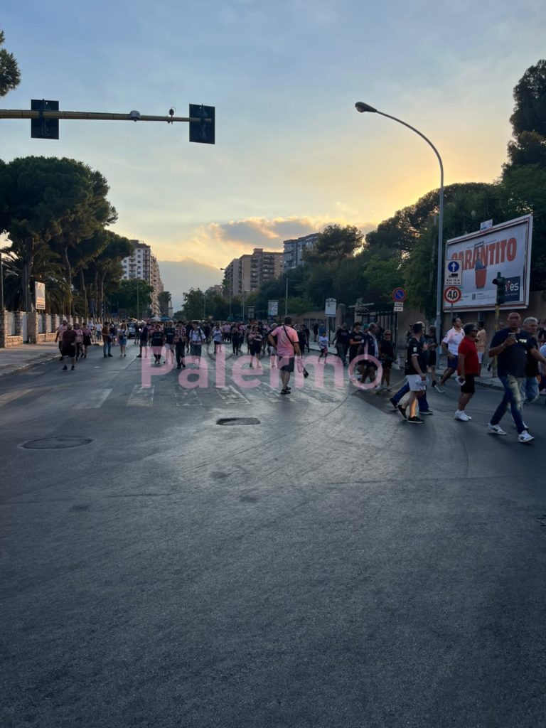 FOTO – Palermo-Sampdoria, le prime immagini dal Barbera