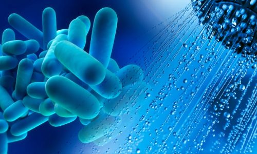 Legionella a Palermo, chiesti campionamenti urgenti e linee guida per i residenti